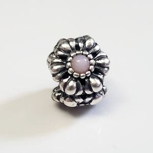 Authentic PANDORA Charm